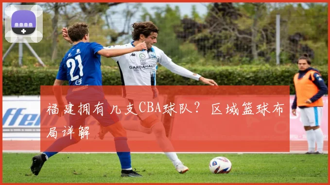 福建拥有几支CBA球队？区域篮球布局详解