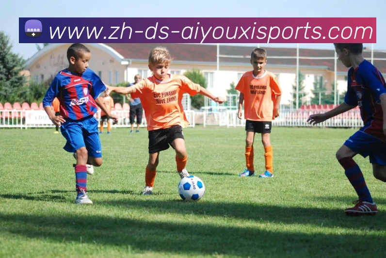 多媒体互动体验